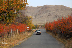 طبیعت پاییزی مناطق روستایی اهر