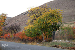 طبیعت پاییزی مناطق روستایی اهر