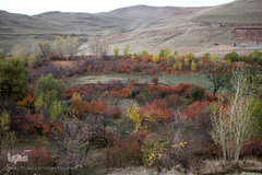 طبیعت پاییزی مناطق روستایی اهر