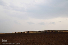 طبیعت پاییزی مناطق روستایی اهر