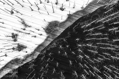 مسابقه بین المللی عکاسان منظره «لنداسکیپ»
عکاس، جورج پوپا از رومانی.