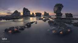 مسابقه بین المللی عکاسان منظره «لنداسکیپ»
عکاس، سرگی آلشچنکو از روسیه.