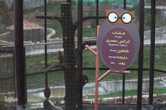 افتتاح باغ پرندگان قم در دره آباد ۱۲هکتاری