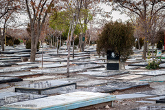 پاییز در قبرستان قدیمی زنجان