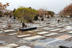 پاییز در قبرستان قدیمی زنجان