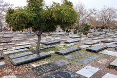 پاییز در قبرستان قدیمی زنجان