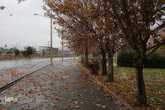 باران پاییزی در بیرجند