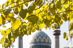 پاییز۹۹-تهران - میدان فلسطین، مسجد امام صادق