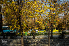 پاییز۹۹-تهران - بلوار کشاورز