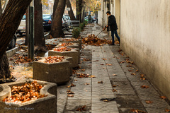 پاییز۹۹-تهران - خیابان نادری