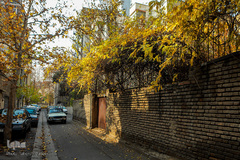 پاییز۹۹-تهران - خیابان نادری، کوچه زرکش