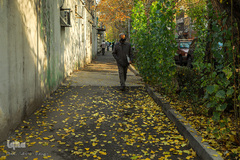 پاییز۹۹-تهران - خیابان ایتالیا