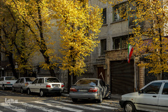 پاییز۹۹-تهران - خیابان ایتالیا