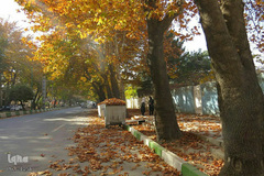 نقاشی‌ هزاررنگ پاییز در ارومیه
