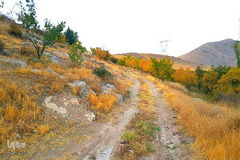 نقاشی‌ هزاررنگ پاییز در ارومیه