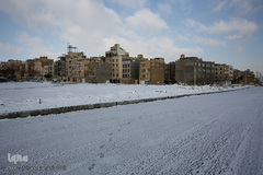 مشهد سفید پوش شد