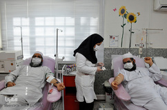 اهدای خون روحانیون اهل سنت و تشیع در بیرجند