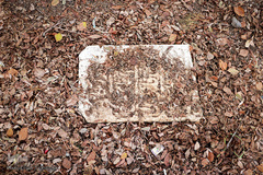 آرامستان زنجان در پائیز برگ ریز 