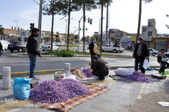عرضه زعفران، گران‌ترین ادویه جهان توسط دست فروشان در شهرهای خراسان‌جنوبی