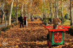 خزان تهران، رنگ امید در کوچه‌های شهر 