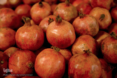 یلدای شیرین ۲۰۰۰خانواده طرح «هم نمک» مؤسسه خیریه متوسلین به امام رضا(ع)