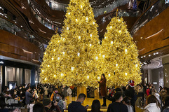 جشن کریسمس در اقصی نقاط جهان