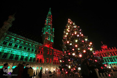 جشن کریسمس در اقصی نقاط جهان