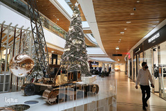 جشن کریسمس در اقصی نقاط جهان