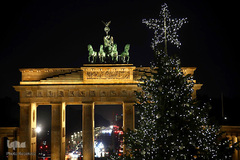 جشن کریسمس در اقصی نقاط جهان