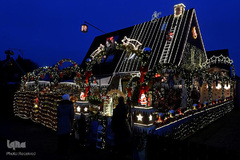 جشن کریسمس در اقصی نقاط جهان