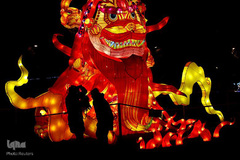 جشن کریسمس در اقصی نقاط جهان