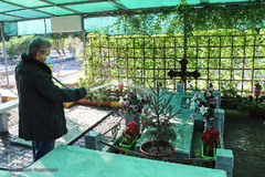 درختکاری در آرامستان ارامنه اهواز به مناسبت میلاد حضرت عیسی(ع)