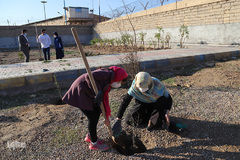 درختکاری در آرامستان ارامنه اهواز به مناسبت میلاد حضرت عیسی(ع)