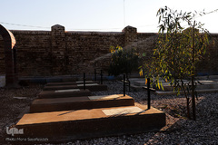 درختکاری در آرامستان ارامنه اهواز به مناسبت میلاد حضرت عیسی(ع)