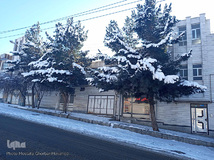 طبیعت زمستانی و روزهای سرد شهرستان اهر