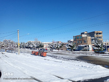 طبیعت زمستانی و روزهای سرد شهرستان اهر