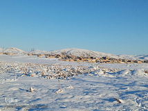 طبیعت زمستانی و روزهای سرد شهرستان اهر