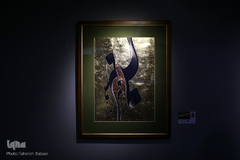 همایش بین‌المللی خوشنویسی راه ابریشم