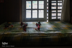 مادری برای 2400 + 1 دختر