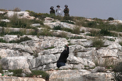 یورش نظامیان رژیم صهیونیستی به راهپیمایی ضد شهرک سازی جمعی از فلسطینی های معترض روستای «بیت دجن» حومه نابلس به اشغال اراضی کشاورزی خود توسط شهرک نشینان صهیونیست