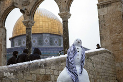 بارش کم سابقه برف در بیت المقدس