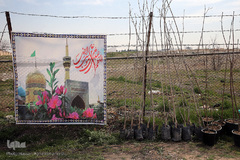 مراسم درختکاری گرامیداشت پیرغلامان اهل بیت(ع) در بوستان «باغ نو» فرهنگسرای تهران