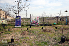 مراسم درختکاری گرامیداشت پیرغلامان اهل بیت(ع) در بوستان «باغ نو» فرهنگسرای تهران