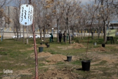 مراسم درختکاری گرامیداشت پیرغلامان اهل بیت(ع) در بوستان «باغ نو» فرهنگسرای تهران