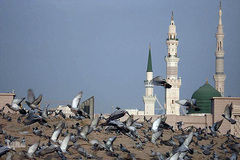 حرم مطهر و نورانی اشرف الانبیاء، حضرت محمد مصطفی(ص) در مدینه منوره