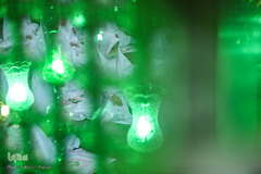 مراسم جشن تکلیف 42 دختر در امامزاده پنج تن لویزان