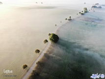 جاده ای مه آلود در جزیره فونن دانمارک