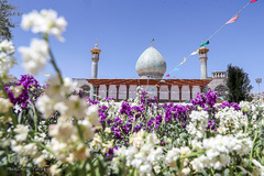 تحویل سال نو در شاهچراغ (ع)