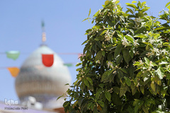 تحویل سال نو در شاهچراغ (ع)