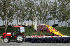 نوروز بهاری تهران